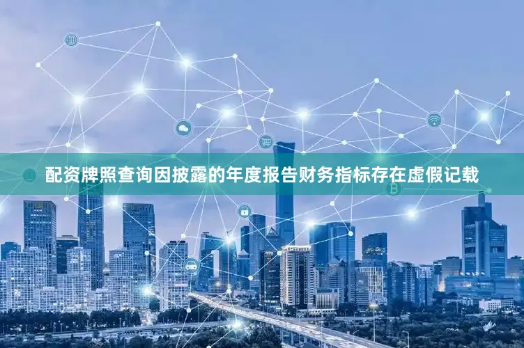 配资牌照查询因披露的年度报告财务指标存在虚假记载