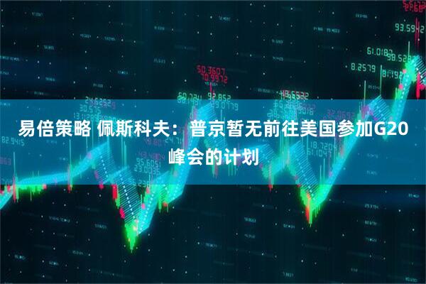 易倍策略 佩斯科夫：普京暂无前往美国参加G20峰会的计划