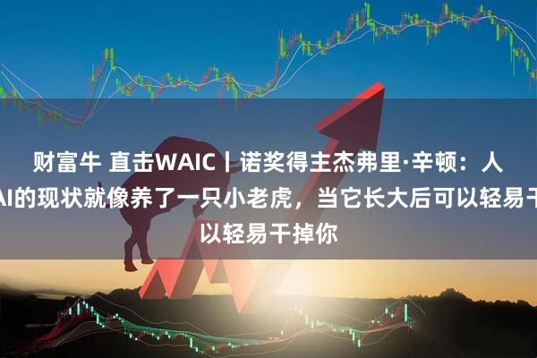 财富牛 直击WAIC丨诺奖得主杰弗里·辛顿:人类和AI的现状就像养了一只小老虎,当它长大后可以轻易干掉你