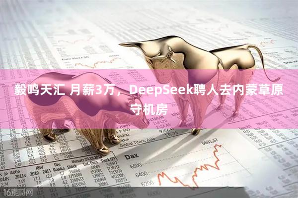 毅鸣天汇 月薪3万，DeepSeek聘人去内蒙草原守机房