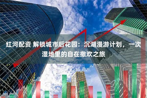 红河配资 解锁城市后花园：沉湖漫游计划，一次湿地里的自在撒欢之旅