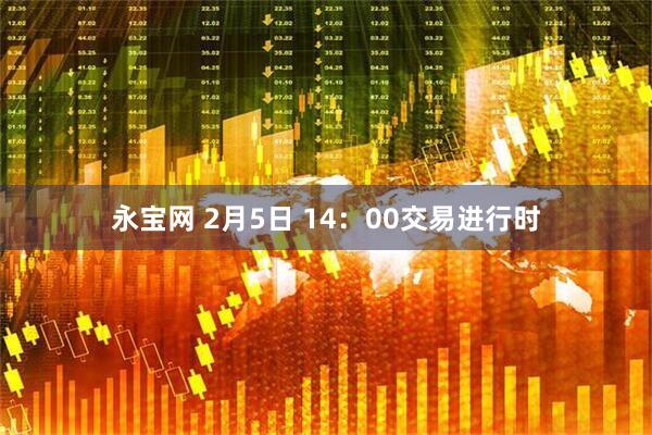 永宝网 2月5日 14：00交易进行时