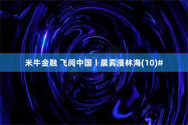米牛金融 飞阅中国丨晨雾漫林海(10)#